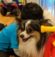 dog review yelp orme hugging baby