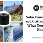 Solar Panels Pests and Critter Guards – What You Need to Know