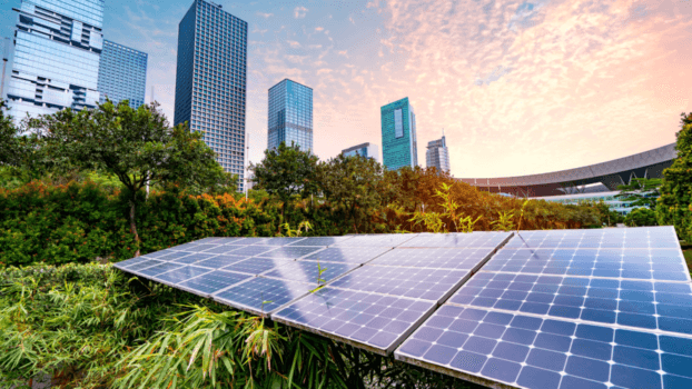 Solar panels in a garden in front of tall buildings.