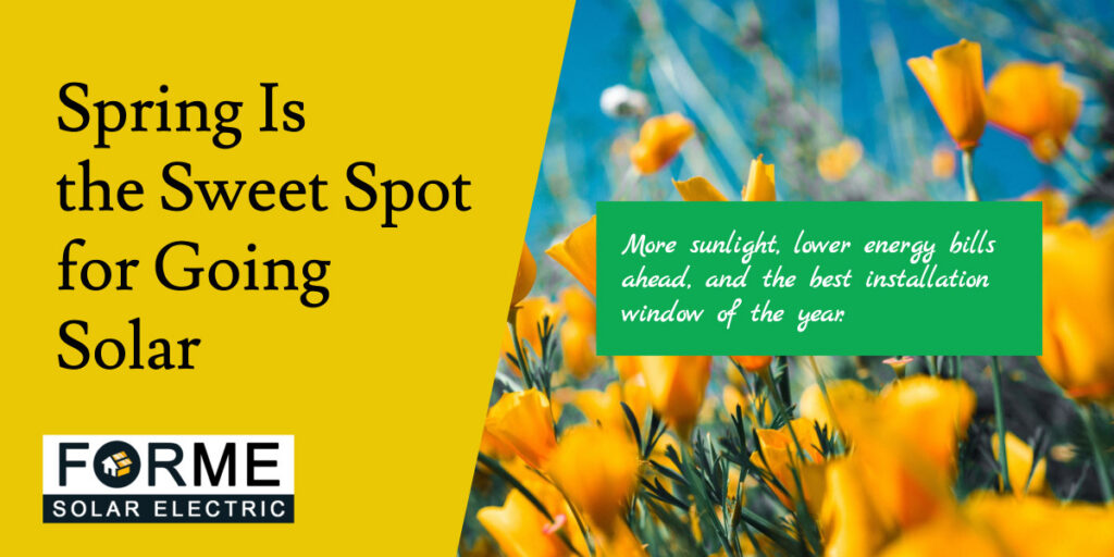 Yellow flowers in a field with text promoting spring as the best time for solar installation; perfect season for going solar. FORME Solar Electric logo included.