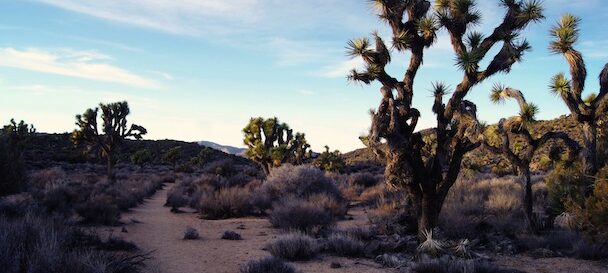 inland empire california